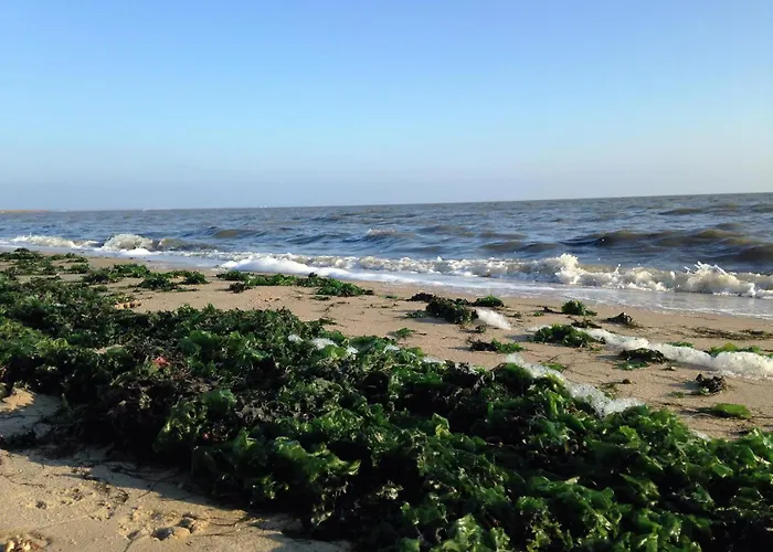 Puschmann App. 26 Wenningstedt-Braderup